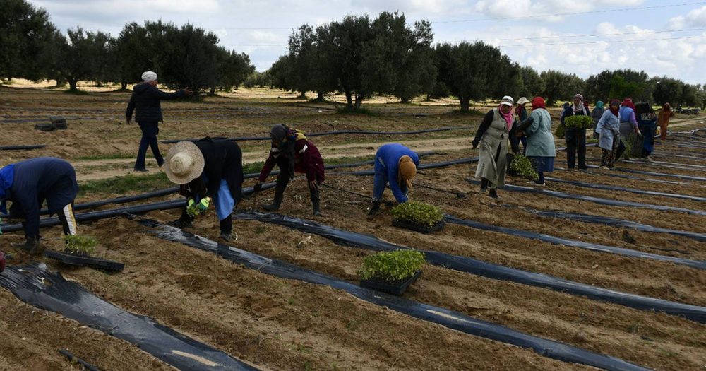 Gestion durable des sols